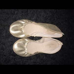 American eagle flats